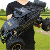 37cm Black