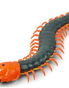 Pet Kid Toy Cobra Surprise Joke RC Animal Centipede Insect Cockroach Remote Control Snake Prank Egg Controler Caterpilla Cat Dog